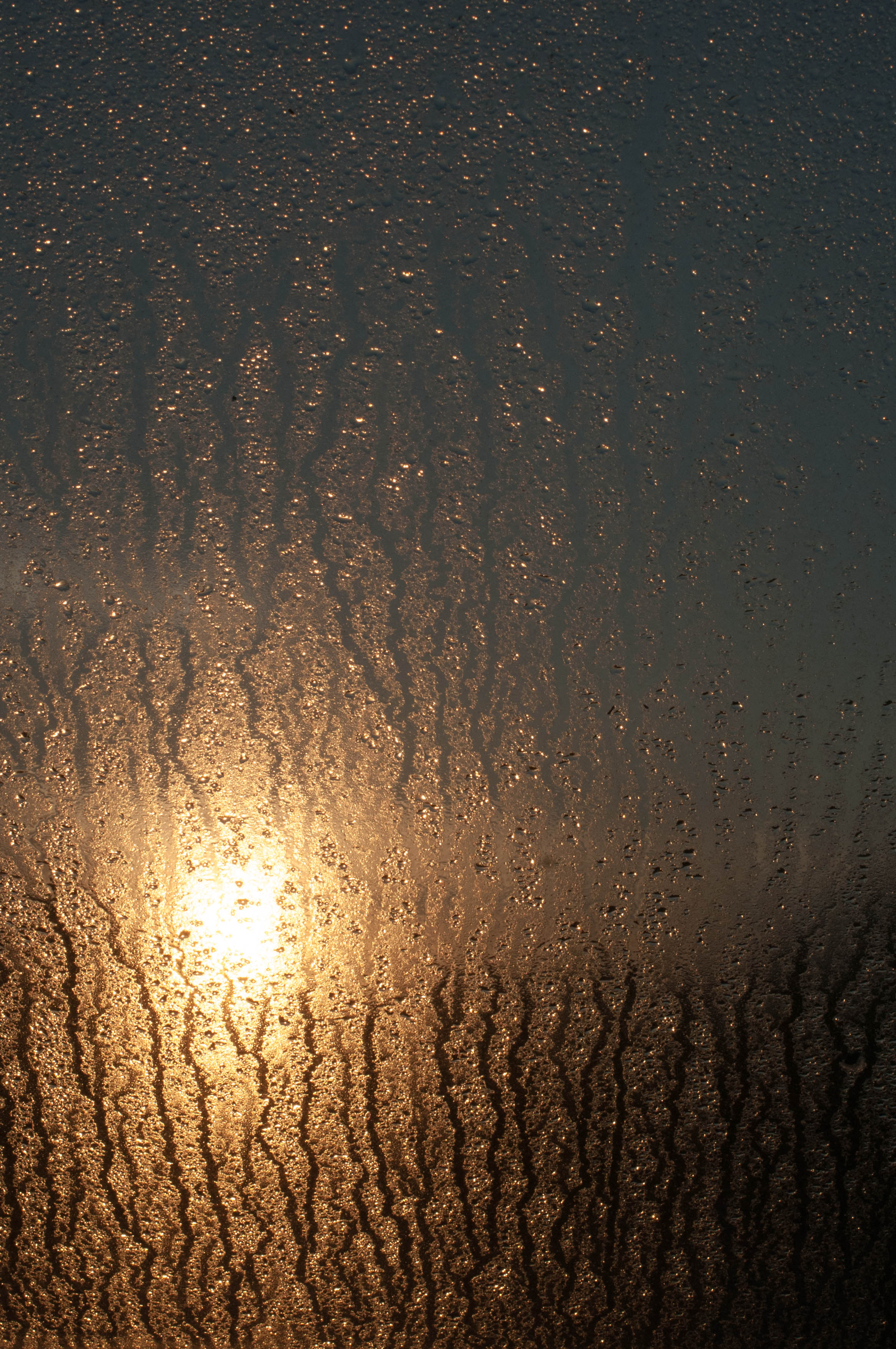 Morgensonne durchs Veluxfenster