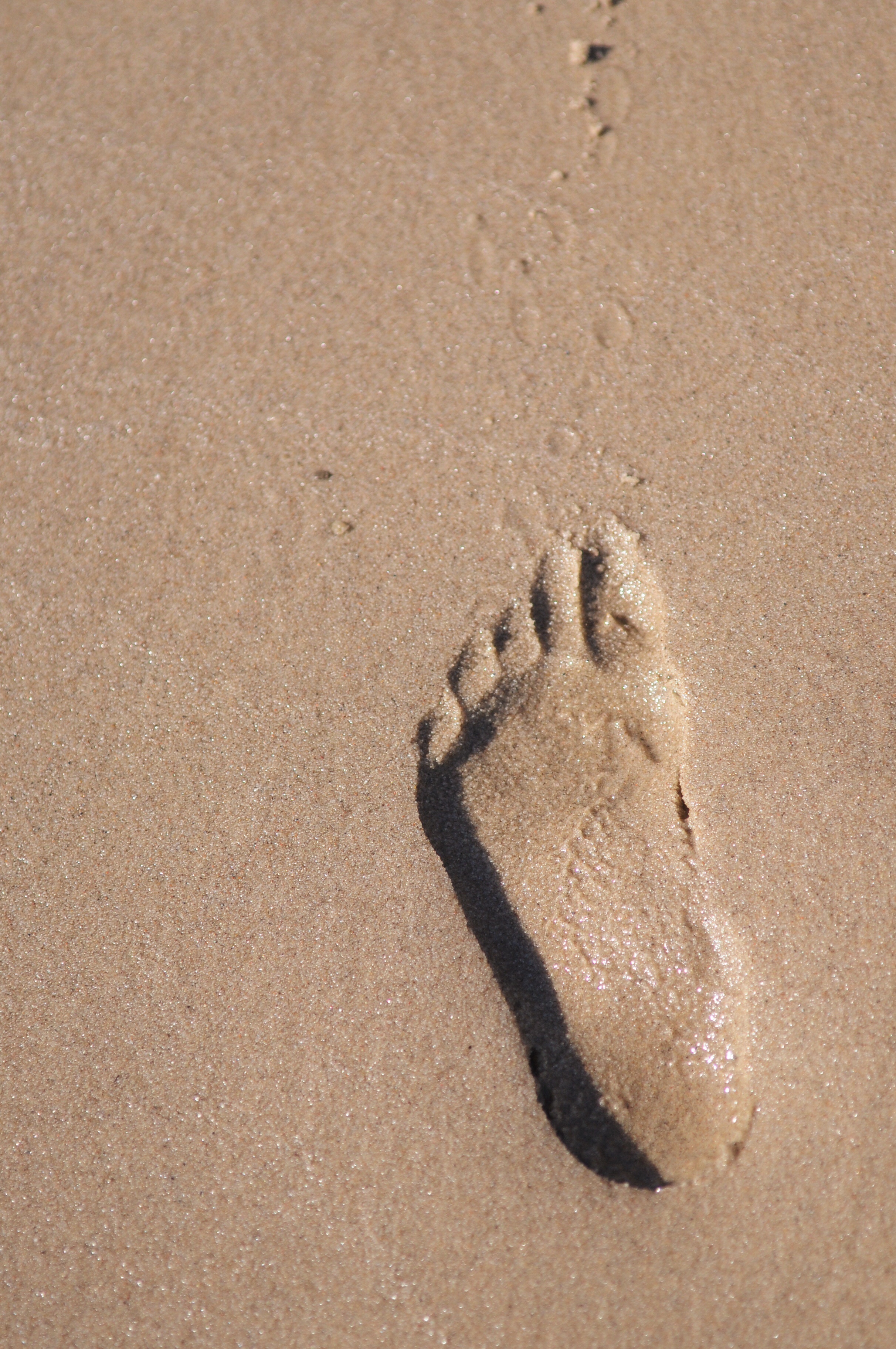 Fußabdruck im Sand