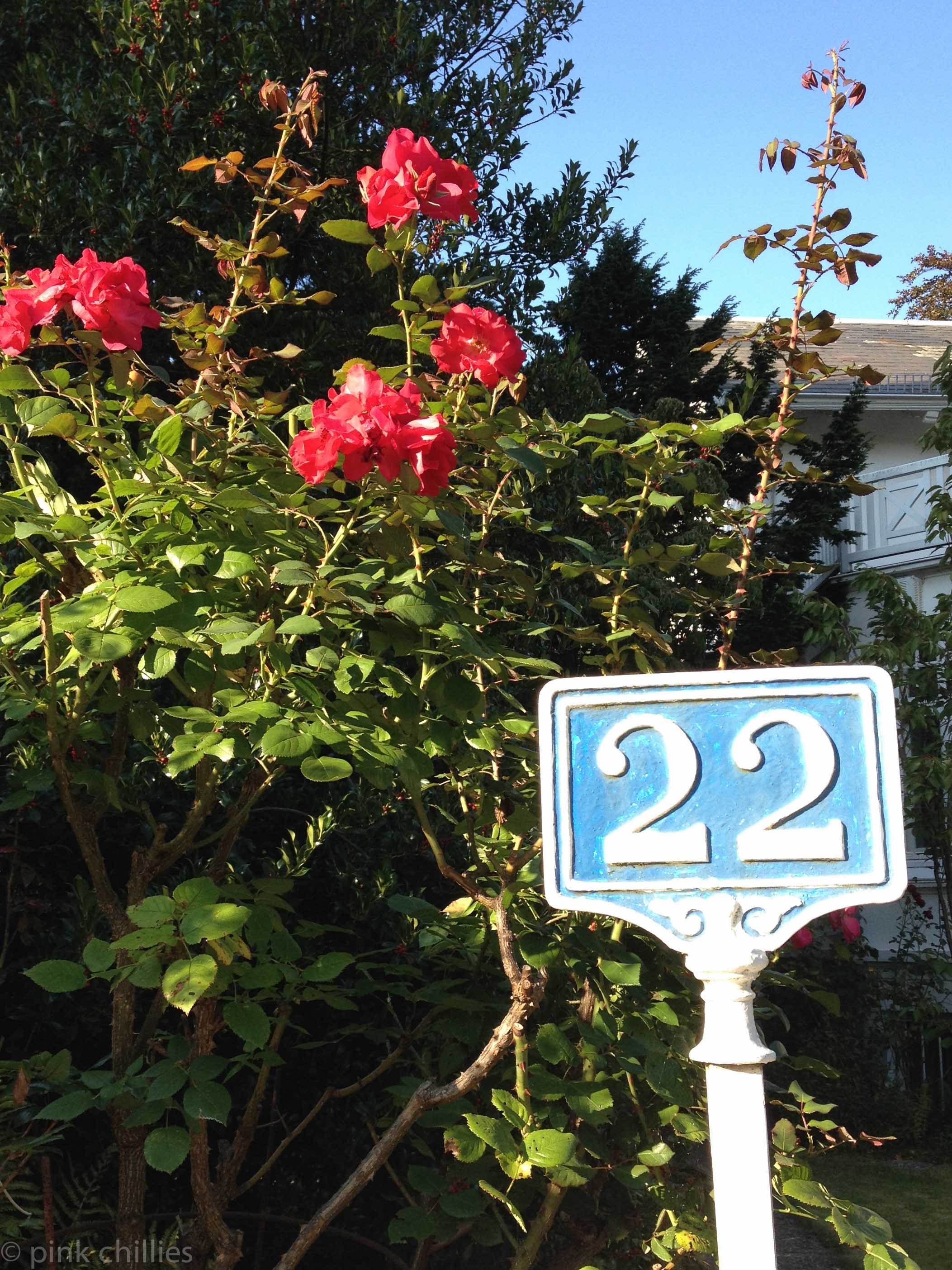 Haustürnummer und Rosen