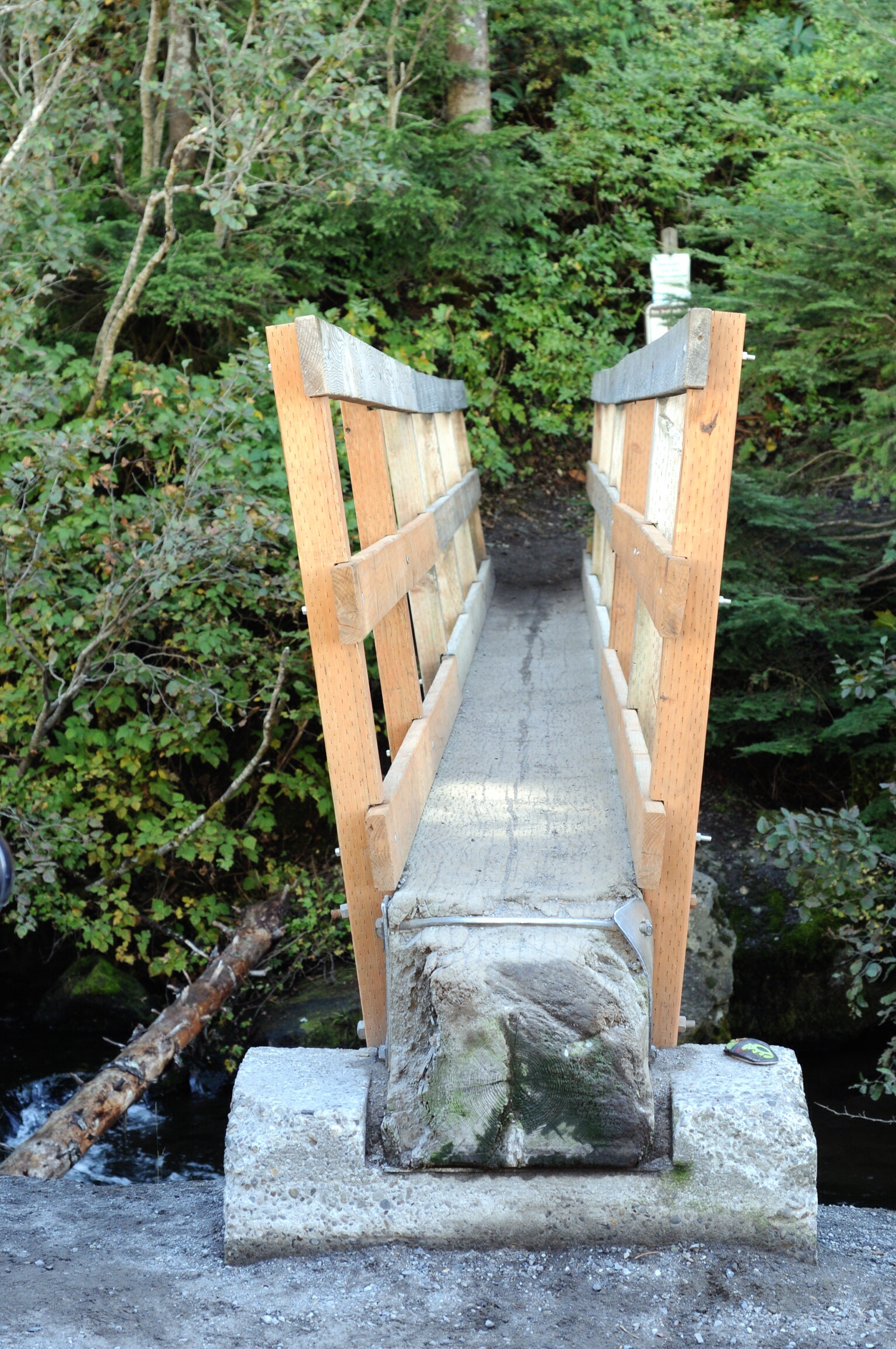 Bridge Camp Creek