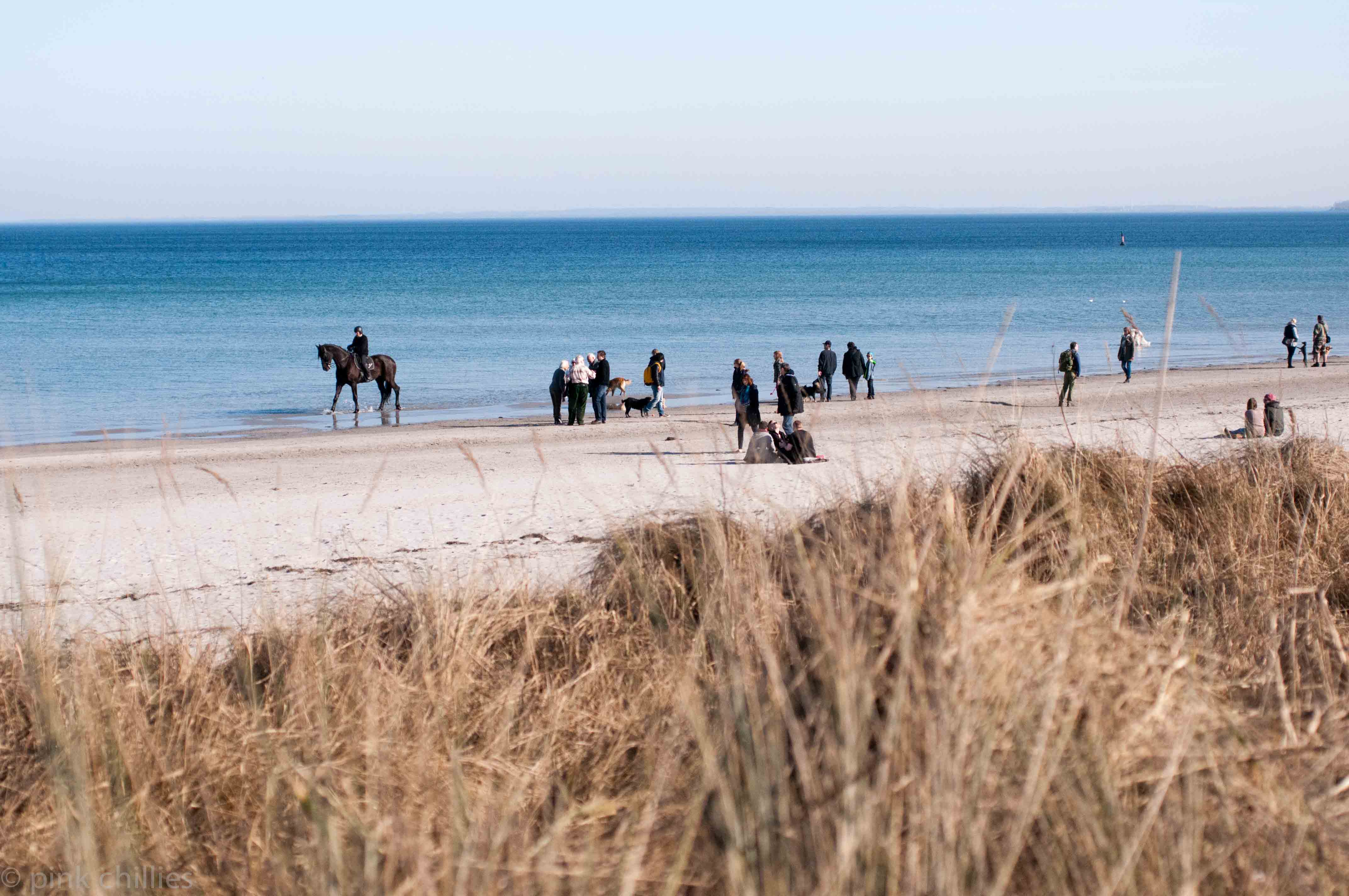 Strandleben an der Ostsee mit Reiter