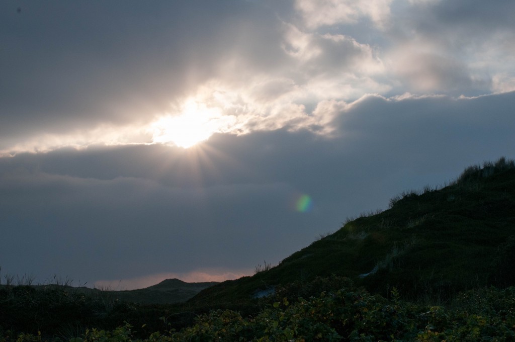 Ein Stück Torte und ein bisschen Strand – pink chillies