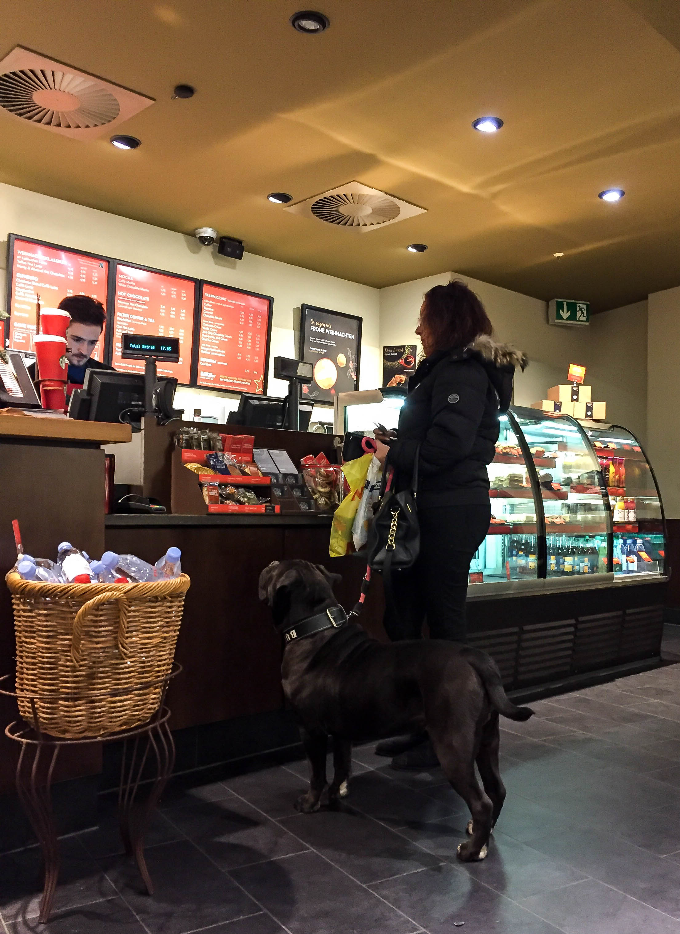 Hund im Coffeehouse