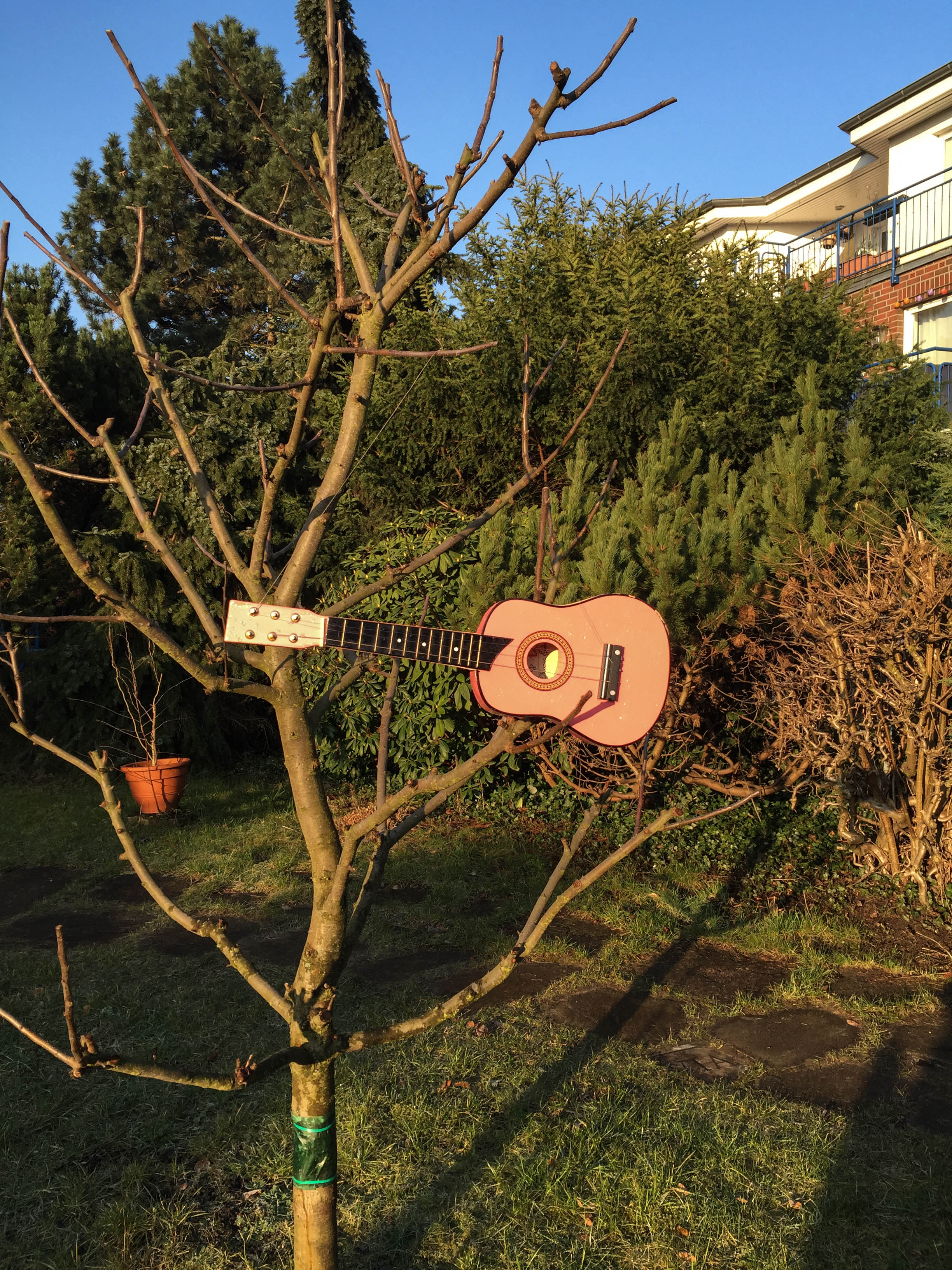 Gitarre im Baum