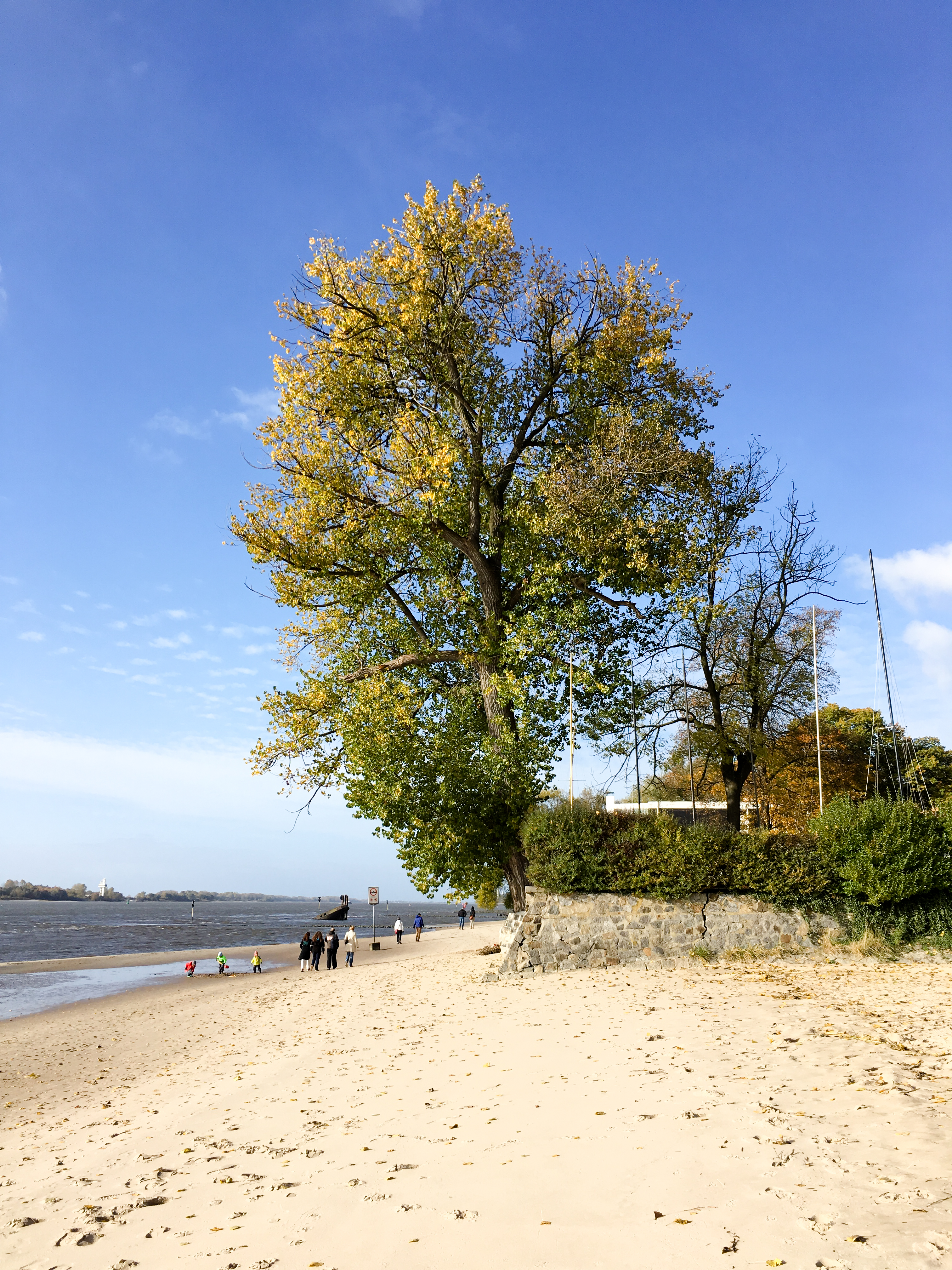 Falkenstein Ufer im Herbst