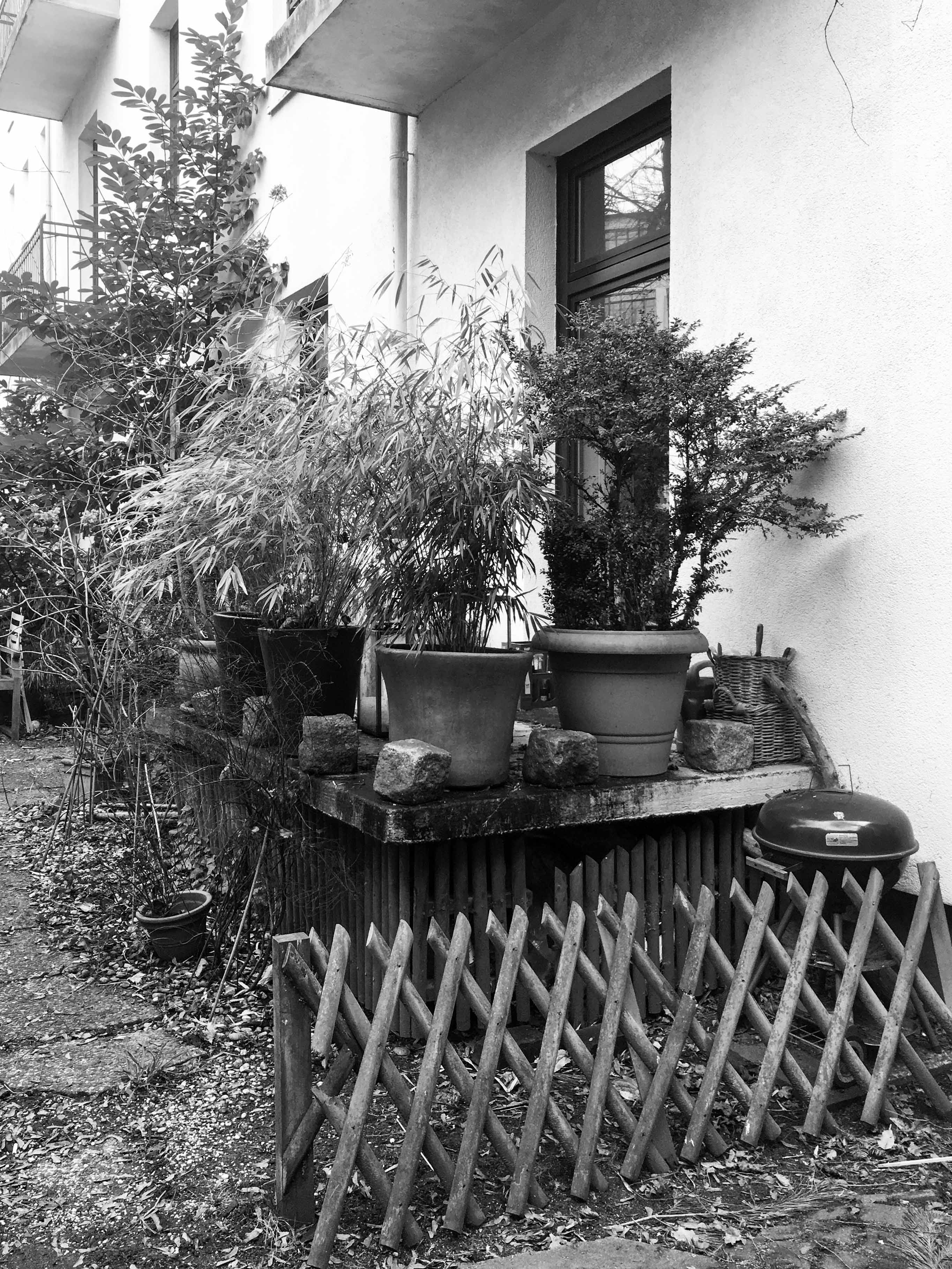 Balkon mit Topfpflanzen